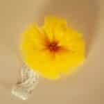 Bentiță cu pampon - galben