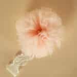 Bentiță cu pampon - roz