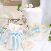 Costum De Botez Dimitrie Catifea Bleu Baieti Costum Cu Vesta