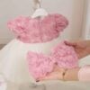 Rochita De Botez Rose Roz Vintage