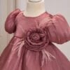 Rochie Tip Gogosar Botez Fete Kate Zmeura 2